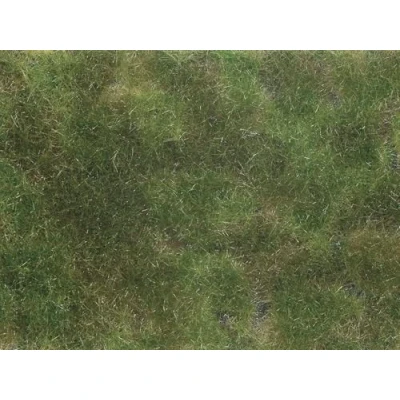 Afbeelding van NOCH 07251 Bodembedekker Landschap bouw Olijf groen