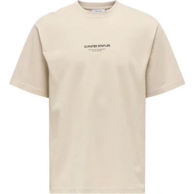 Afbeelding van Only &amp; Sons T shirt Onscurated Rlx Print Ss Tee 22030925 Silver Lining Mannen Maat S