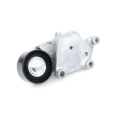 Afbeelding van Riemspanner, Poly V riem MAXGEAR 54 0561