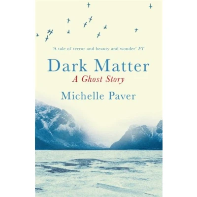 Afbeelding van Dark Matter