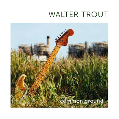 Afbeelding van Walter Trout Common Ground (LP)