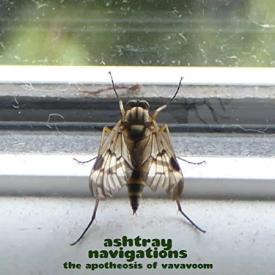 Afbeelding van Ashtray Navigations Apotheosis of Vavavoom (LP)