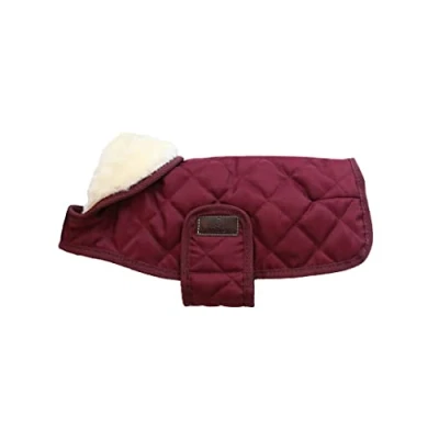 Image de Kentucky Veste pour Chien Original Royal Bordeaux 62cm