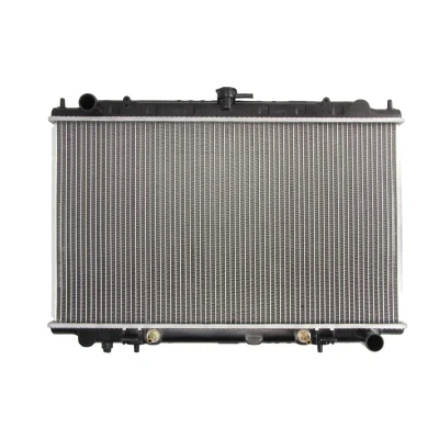 Afbeelding van Thermotec Radiateur D71010TT
