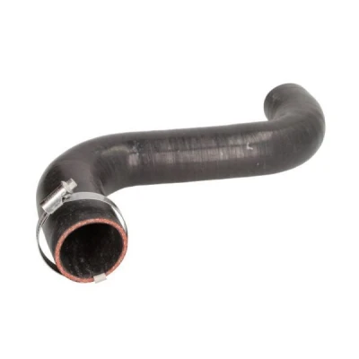 Afbeelding van THERMOTEC DCI049TT Laadluchtslang LAND ROVER: Range Rover 3, Sport
