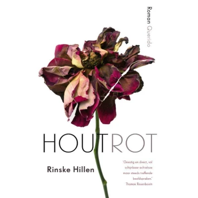 Afbeelding van Houtrot