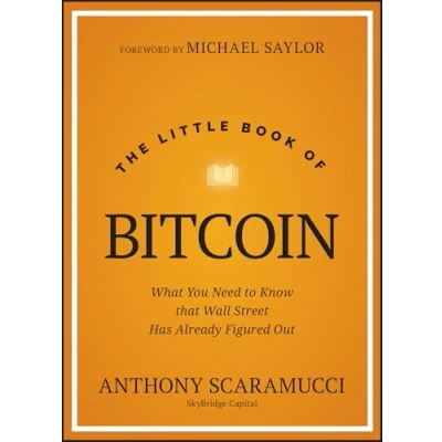 Afbeelding van The Little Book of Bitcoin