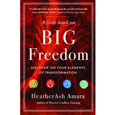 Afbeelding van A Little Book on Big Freedom