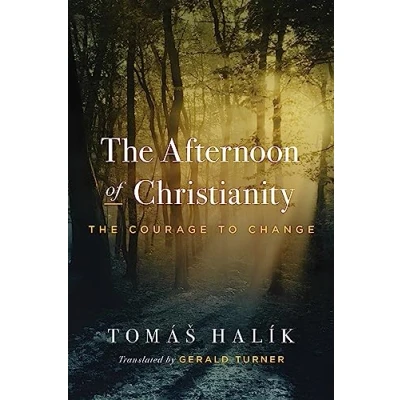 Afbeelding van The Afternoon of Christianity