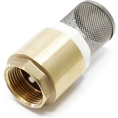 Afbeelding van Zuigkorf met Voetklep (1 Inch Binnendraad) Messing / RVS