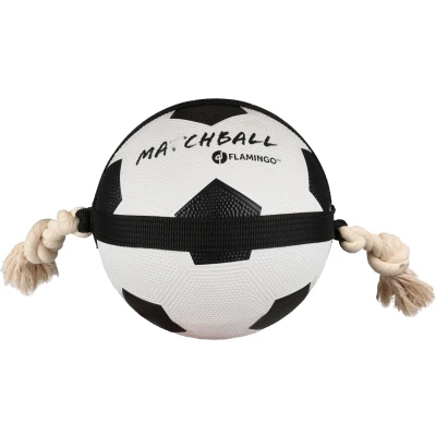 Afbeelding van Hondenspeelgoed Matchball Voetbal 22 cm