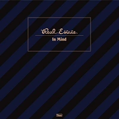 Afbeelding van Real Estate In Mind Vinyl LP / 16 03 2017 Coloured