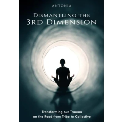 Afbeelding van Dismantling the 3rd Dimension