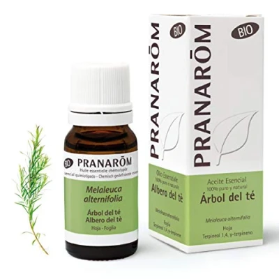 Afbeelding van Pranarôm Etherische olie Tea tree blad BIO (10 ml)