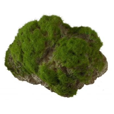 Afbeelding van Aqua Della Aquariumdecoratie Vissen Moss Stone With Suction Cup L 17x11x13,5cm 1st