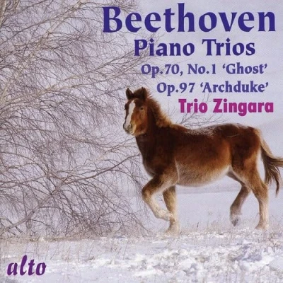 Afbeelding van Beethoven Piano Trios