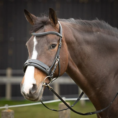 Afbeelding van Harry&#039;s Horse Kaptoom Hoofdstel Comfort Leder Zwart Pony