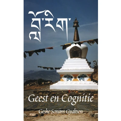 Afbeelding van Geest en cognitie