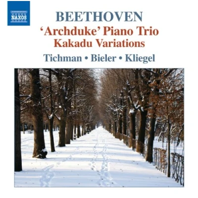 Afbeelding van Xyrion Trio Beethoven; Piano Trios Volume 5 (CD)