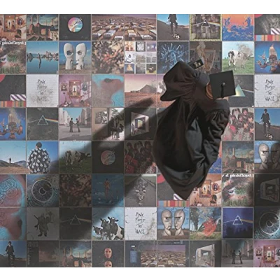 Afbeelding van Foot in The Door: Best of Pink Floyd