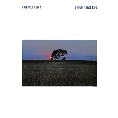Afbeelding van Pat Metheny Bright Size Life (LP)