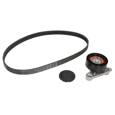 Afbeelding van Ina Poly V riemen kit 529 0160 10