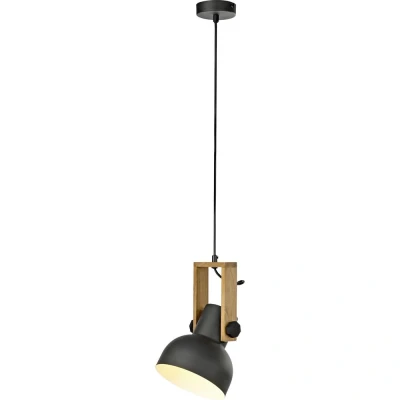 Afbeelding van JUST LIGHT. Cup 2.0 hanglamp, Ø16cm, 1 lamp, zwart