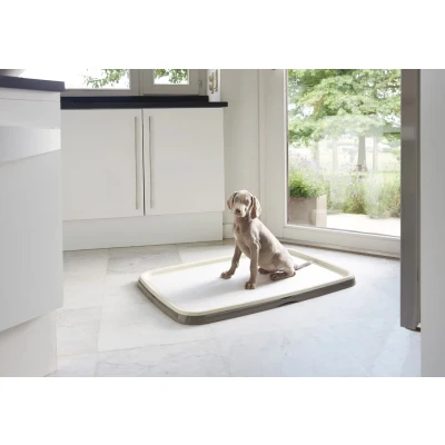 Afbeelding van Savic puppy trainer starterkit XL Gebr. de Boon