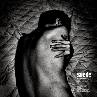 Afbeelding van Suede Autofiction (LP)