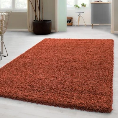 Afbeelding van Hoogpolig shaggy tapijt voor de woonkamer, onderhoudsarm, getest op schadelijke stoffen, poolhoogte: 3 cm, Öko Tex standaard, afmetingen: 240 x 340 kleur: terra