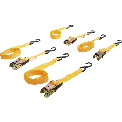 Afbeelding van BGS Spanbandset met ratel zware haken 5 meter x 25 mm 4 delig