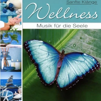 Afbeelding van Various Artists Wellness Musik Für Die Seele (CD)