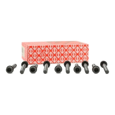 Afbeelding van ELRING 819.817 Cilinderkopbouten Binnen veeltandig VOLKSWAGEN: GOLF 3, 2, Scirocco II, AUDI: A4 B5 Avant, 90 B3, 80 FORD: Escort 6 Cabrio