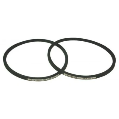 Afbeelding van Smalle v snaar spa x 1272mm (12,7x10mm)