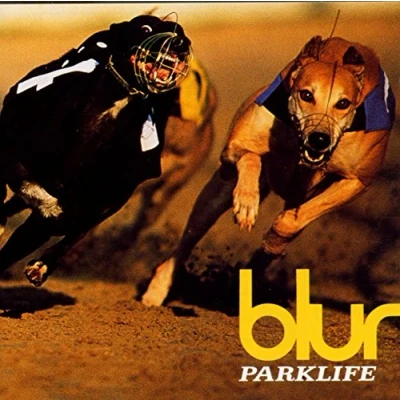 Afbeelding van Parklife