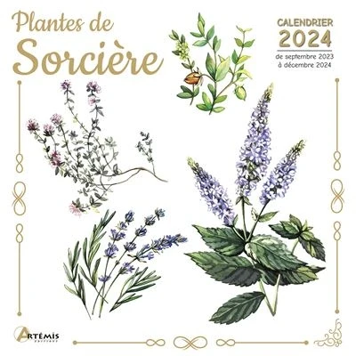 Image de Calendrier Plantes de sorcière 2024