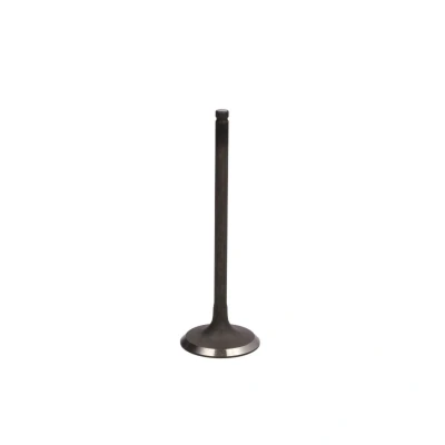 Afbeelding van FRECCIA R6294/SNT Inlaatklep 33,9 Klepsteel met nitraat verzien