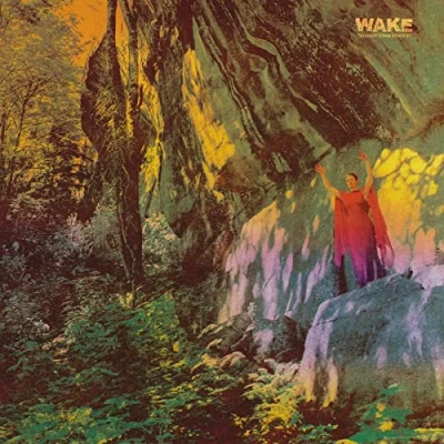 Afbeelding van Wake Thought Form Descent (LP)