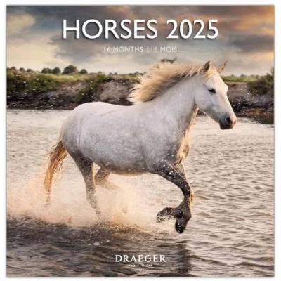 Afbeelding van Grote wandkalender, 29 x cm, 2025, september 2024 tot december paarden
