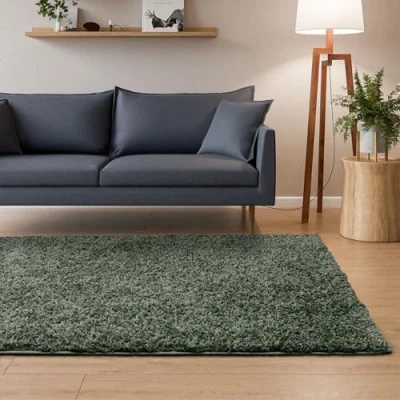 Afbeelding van Interiyou Sofia hoogpolig tapijt 160 x 230 cm lichtgroen pluizig effen wasbaar antislip zacht