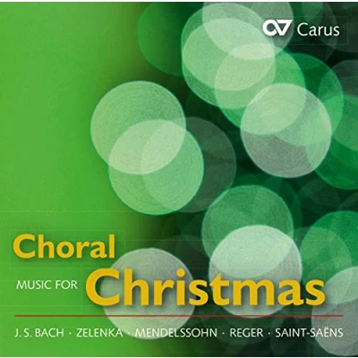 Afbeelding van Various Artists Choral Music For Christmas (CD)