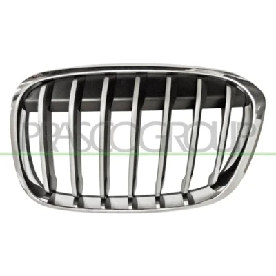 Afbeelding van PRASCO BM7062014 Grille Auto Links voor Chroom/zwart BMW: X1