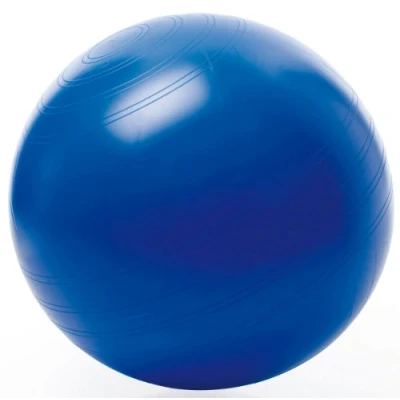 Afbeelding van Togu Zitbal ABS 55 cm