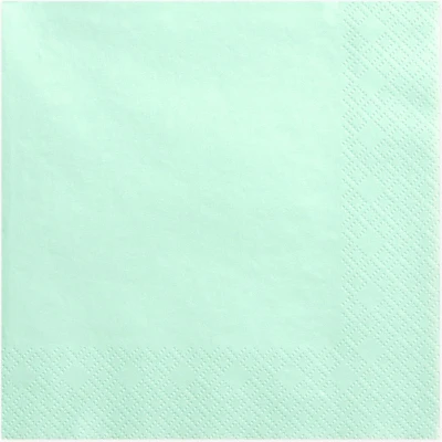 Afbeelding van 20x Papieren tafel servetten mint groen 33 x cm Mintgroene wegwerp diner/lunch