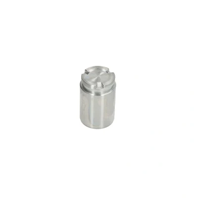Afbeelding van Zuiger, remklauw AUTOFREN SEINSA D025620