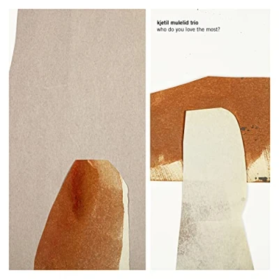 Afbeelding van Kjetil Mulelid Trio Who Do You Love The Most? (LP)