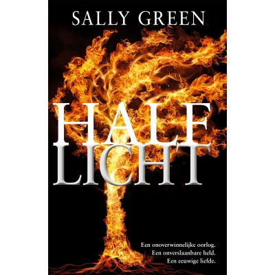 Afbeelding van Half Licht