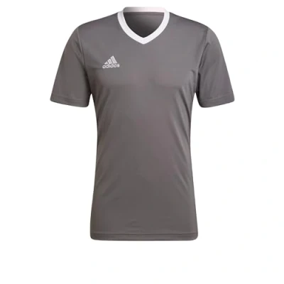 Afbeelding van adidas Performance Entrada 22 Voetbalshirt Heren Grijs S