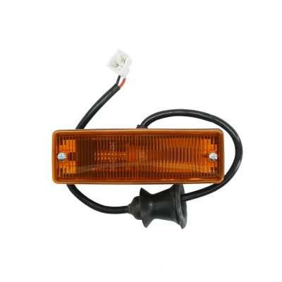 Afbeelding van Knipperlicht DT Spare Parts 4.62824 rechts