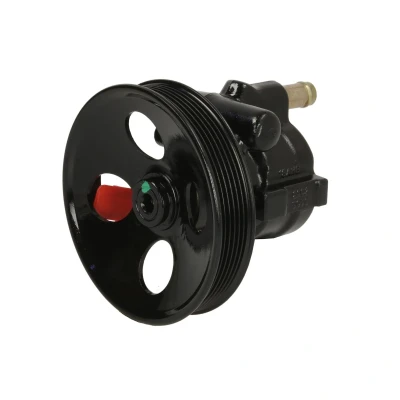 Afbeelding van Lauber Servopomp 55.0450